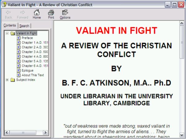 Screen Shot of Valiant In Fight